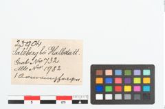 Etikett zu Bronzebuckelarmreif (NHMW-PRAE-025904)